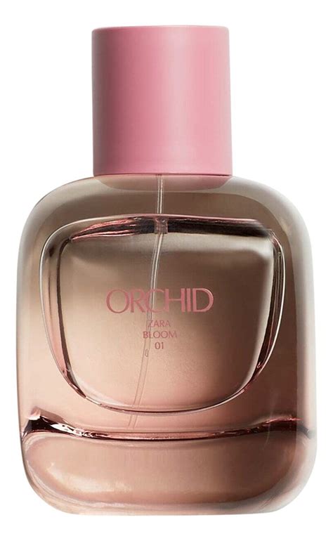 parfum zara orchid kaufen online